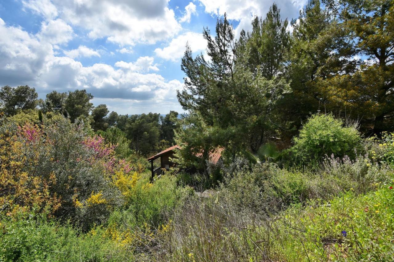 Zimmers At The Forest Amirim Exterior foto
