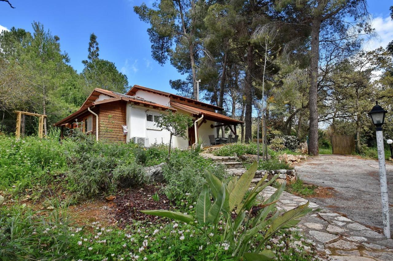 Zimmers At The Forest Amirim Exterior foto