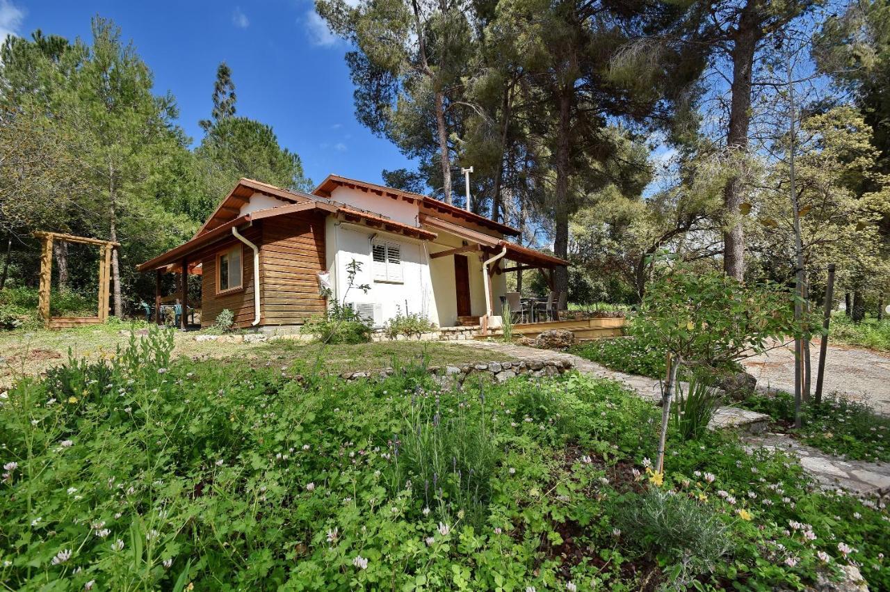 Zimmers At The Forest Amirim Exterior foto