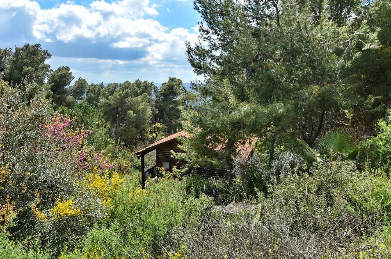 Zimmers At The Forest Amirim Exterior foto